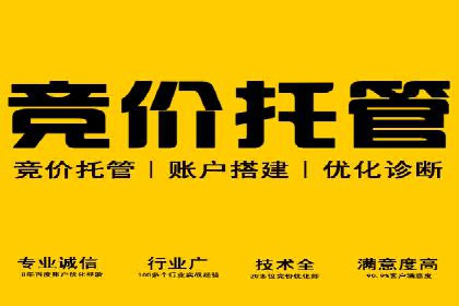 SEM代运营推广公司案例，揭秘高效广告投放策略